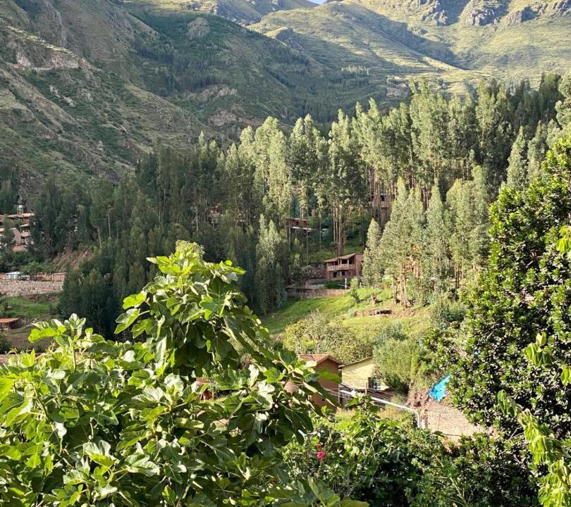 Photo of Others in Pisac