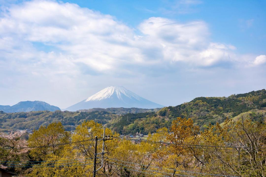 Photo of Others in Izu