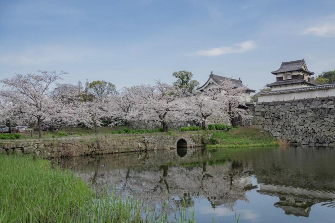 Photo of Others in Minami-ku