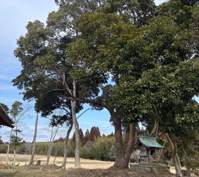 Photo of Outdoor in Isumi
