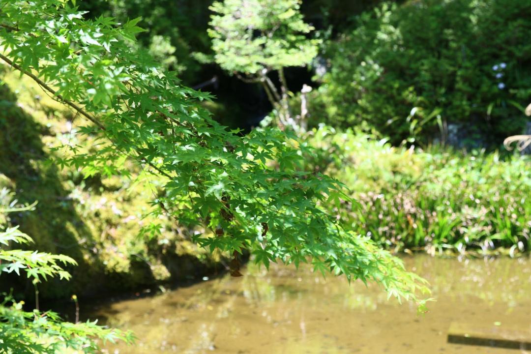 Photo of Others in Nanbu