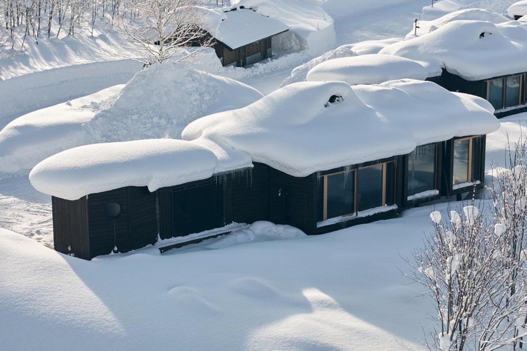 Photo of Others in Niseko