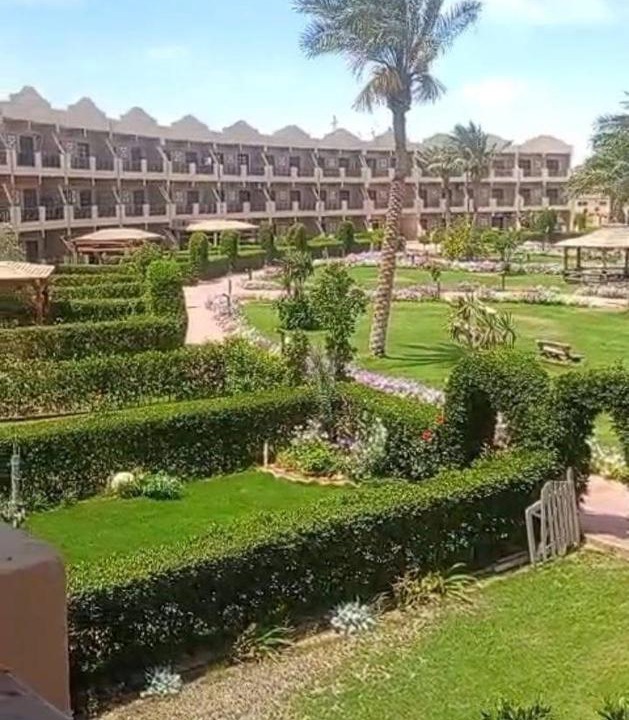 Photo of Others in Zafarana