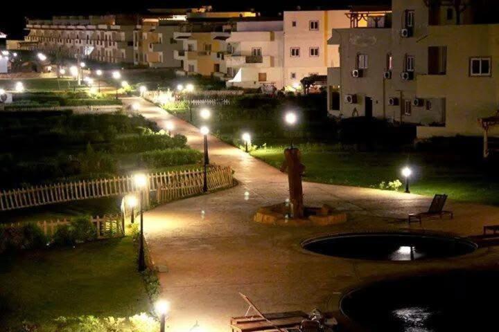 Photo of Others in Zafarana