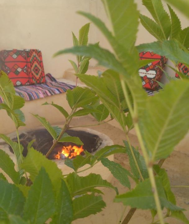 Photo of Others in Al Fayoum