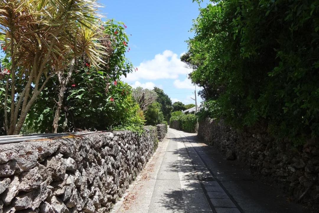 Photo of Others in Kikai Island