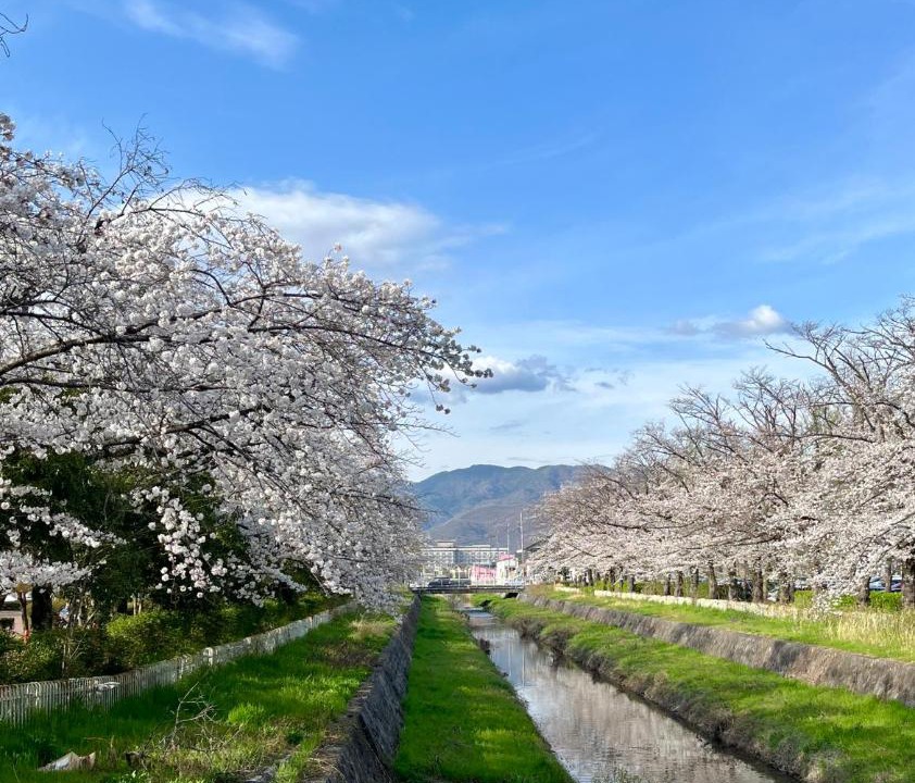 Photo of Others in Kofu