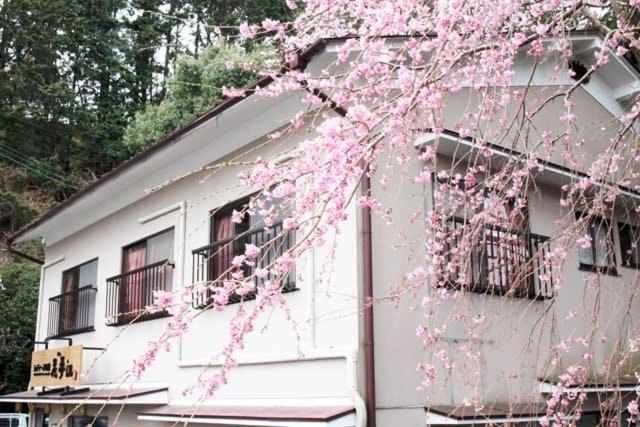 Photo of Others in Yoshino