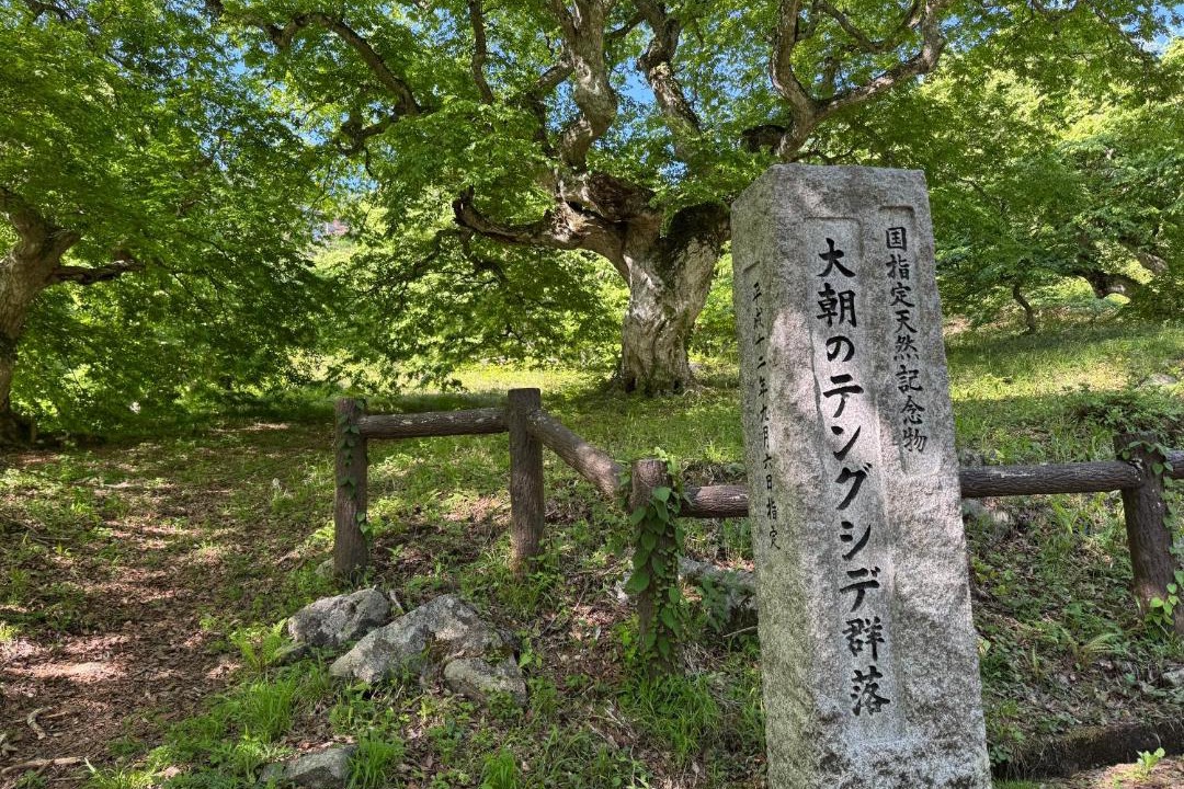 Photo of Others in Kita Hiroshima