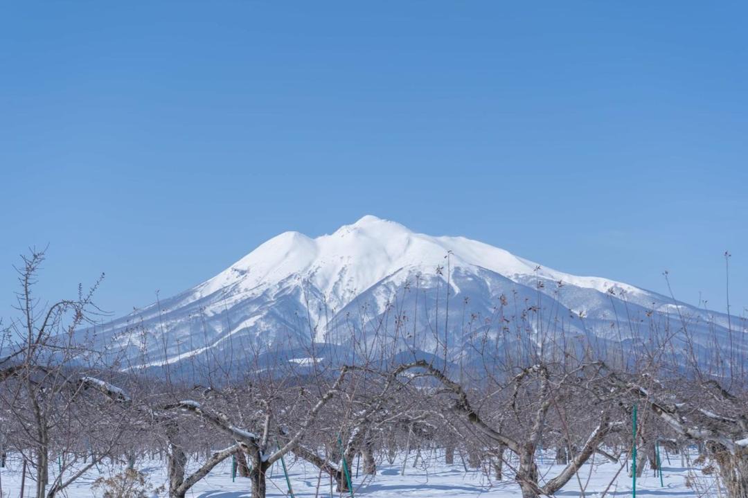 Photo of Others in Hirosaki