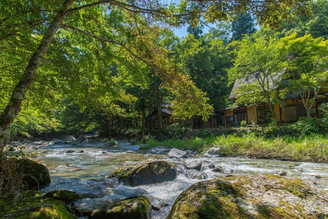 Photo of Others in Takayama