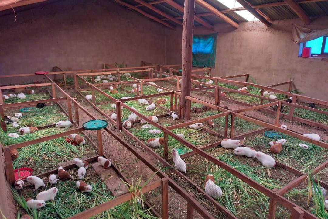 Photo of Others in Chinchero