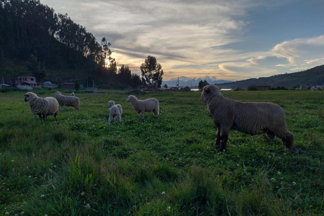 Photo of Others in Chinchero