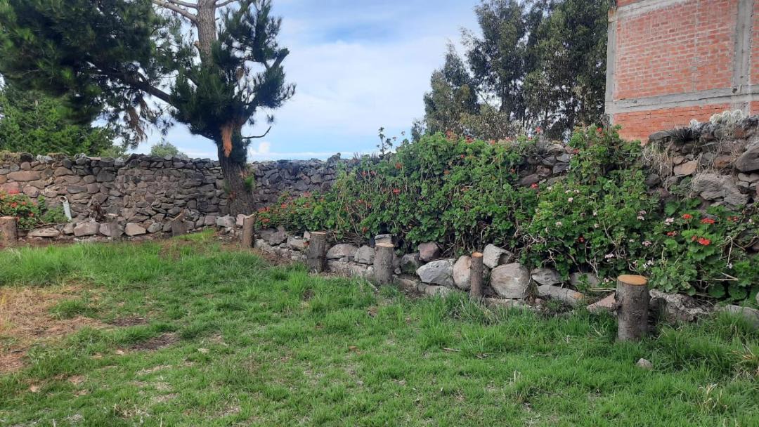 Photo of Others in Chucuito