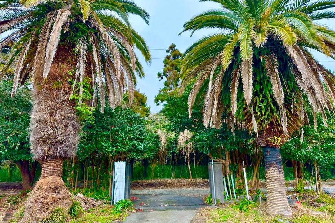 Photo of Others in Oshima