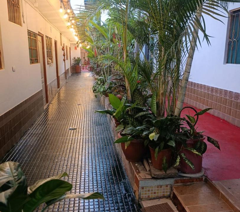 Photo of Others in Tarapoto