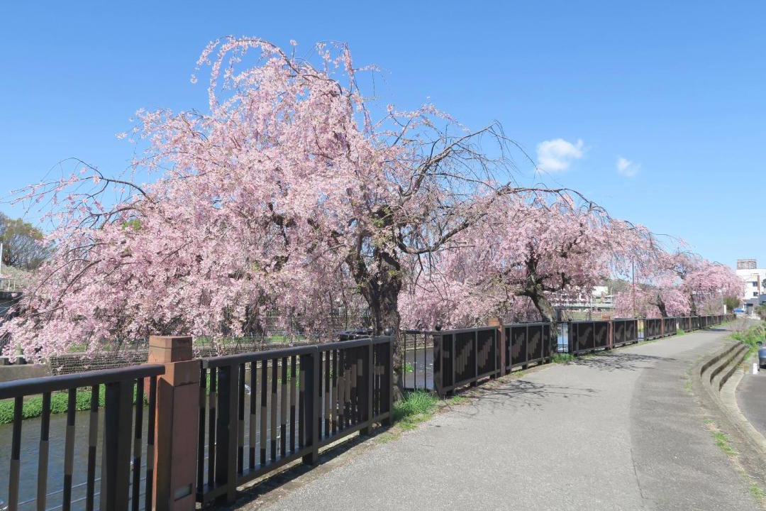 Photo of Others in Utsunomiya