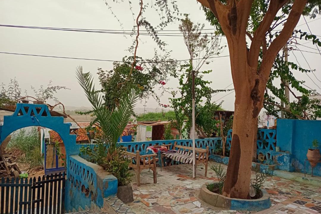 Photo of Others in Aswan