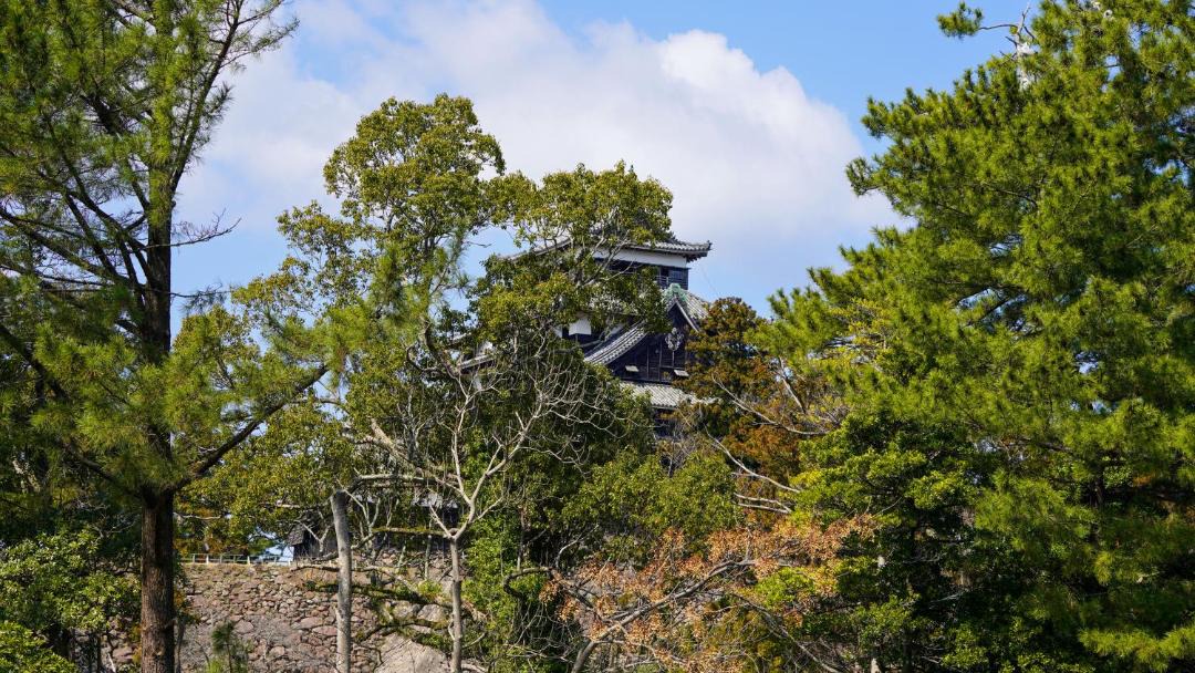 Photo of Others in Matsue