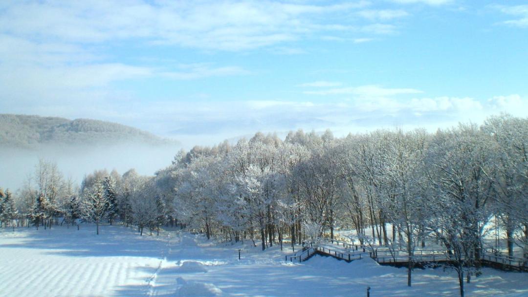 Photo of Others in Furano