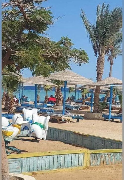 Photo of Others in Hurghada