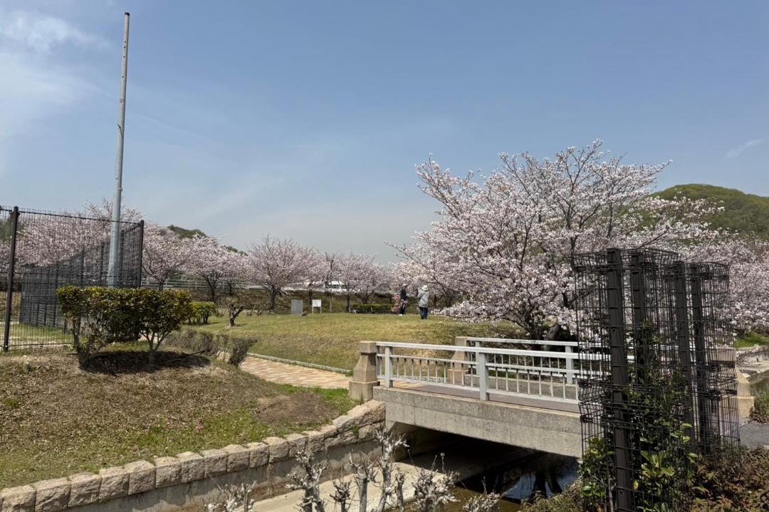 Photo of Others in Kasaoka