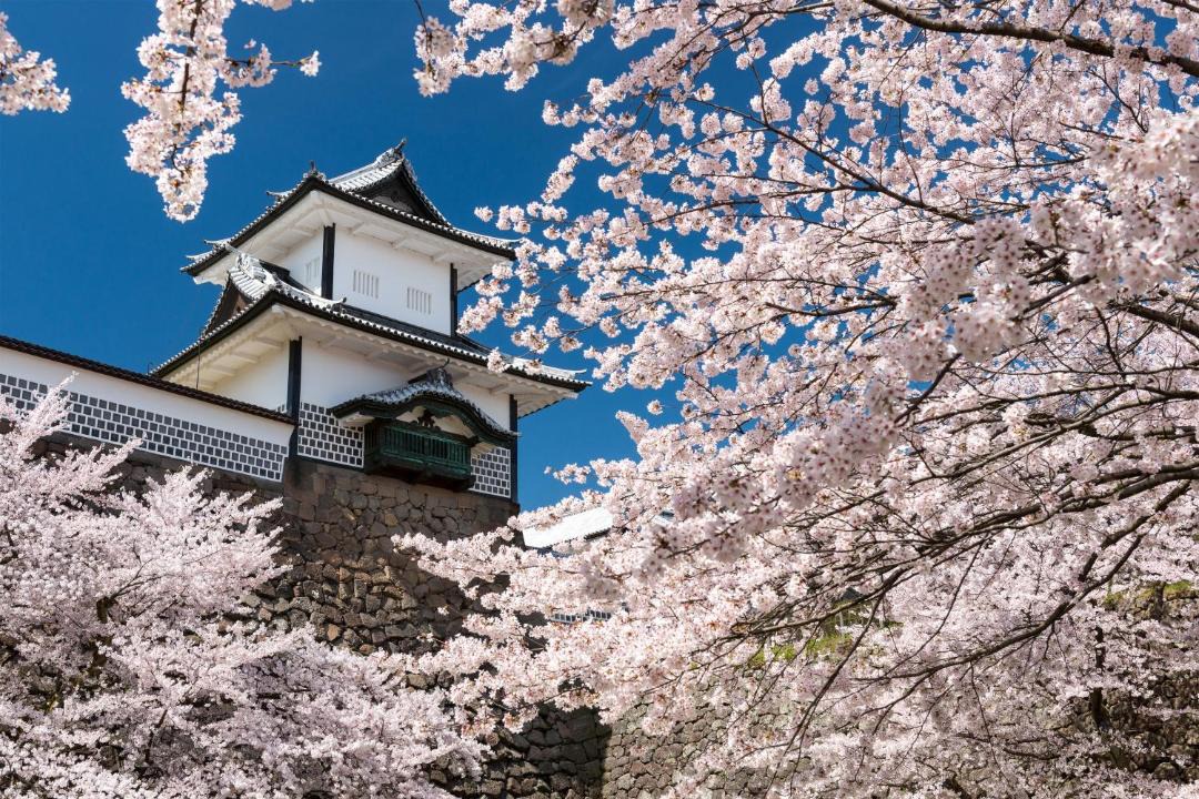 Photo of Others in Kanazawa