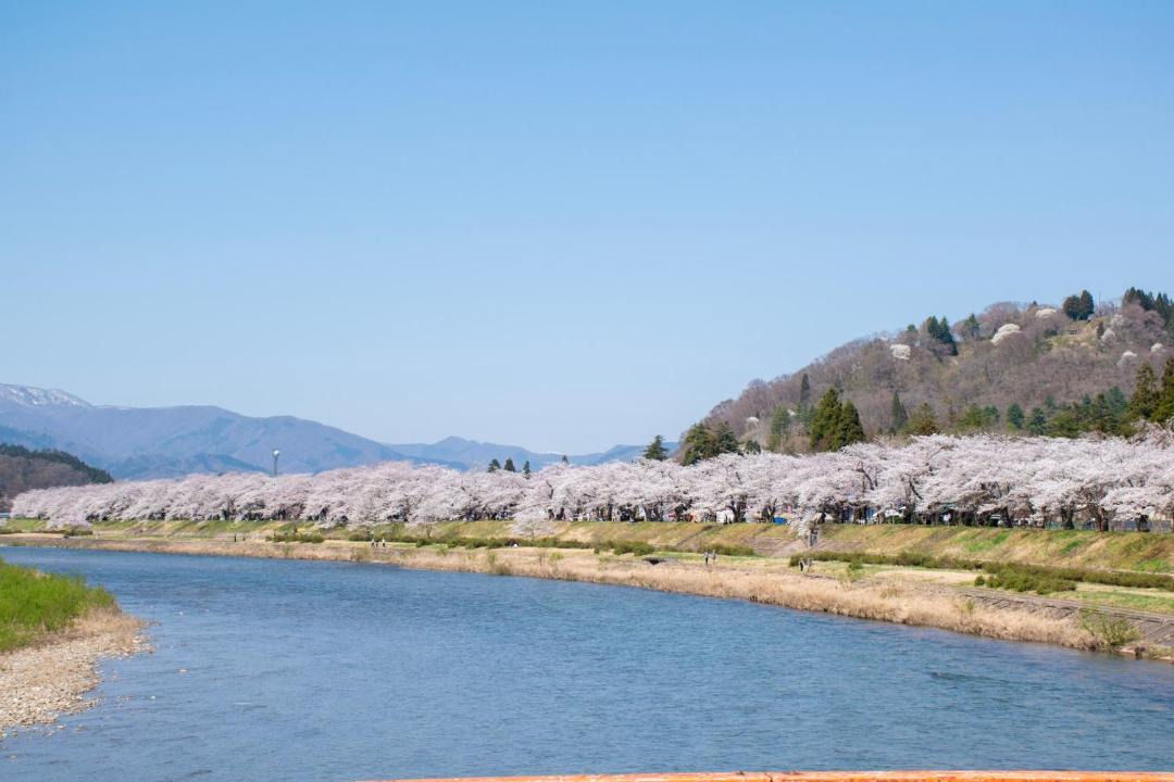 Photo of Others in Senboku