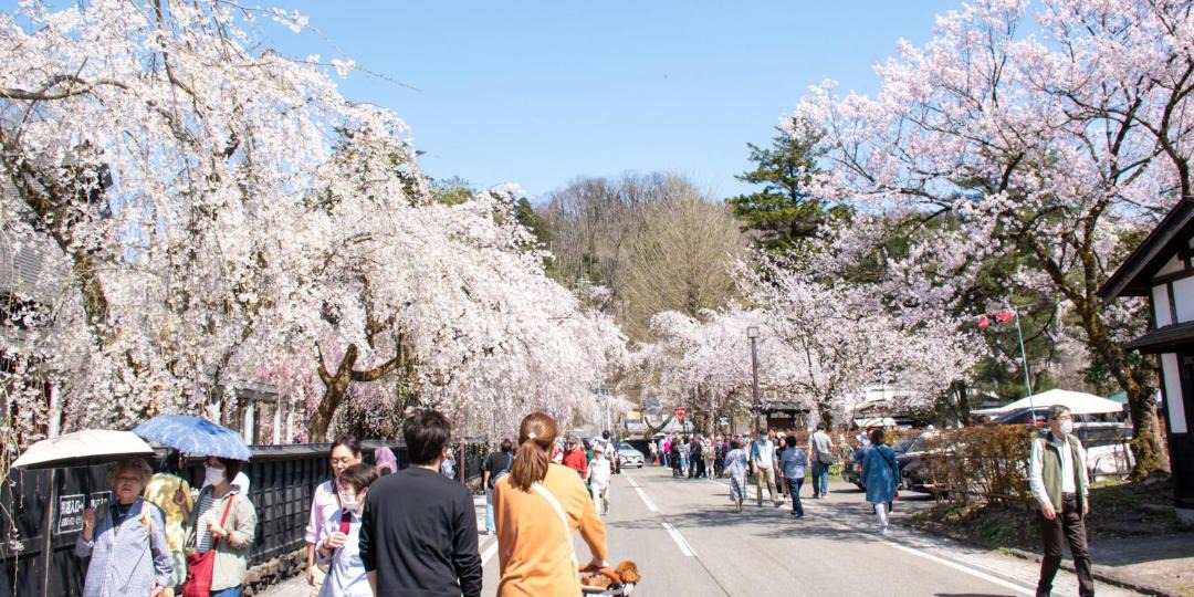 Photo of Others in Senboku