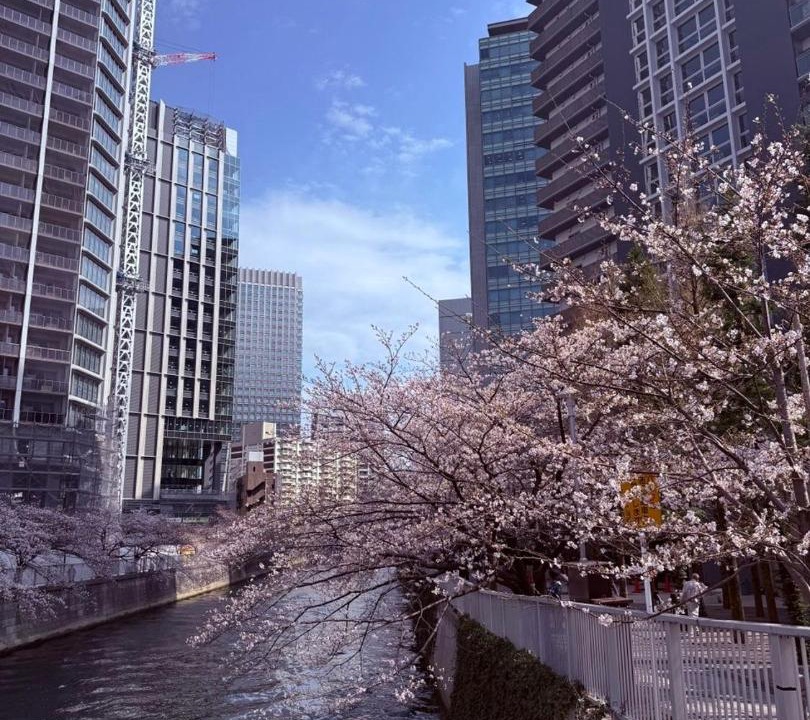 Photo of Others in Higashigotanda