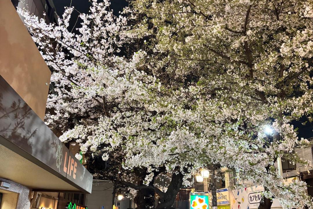 Photo of Others in Kamitakada