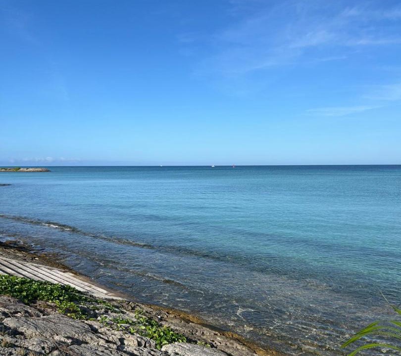 Photo of Others in Okinawa