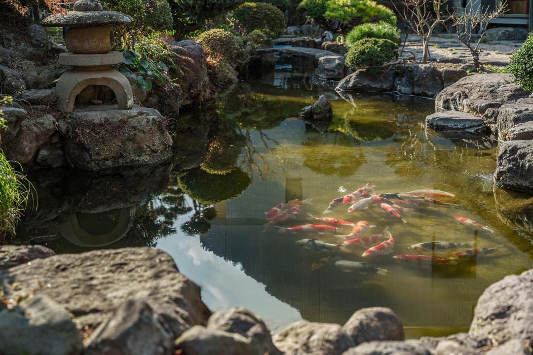 Photo of Others in Beppu