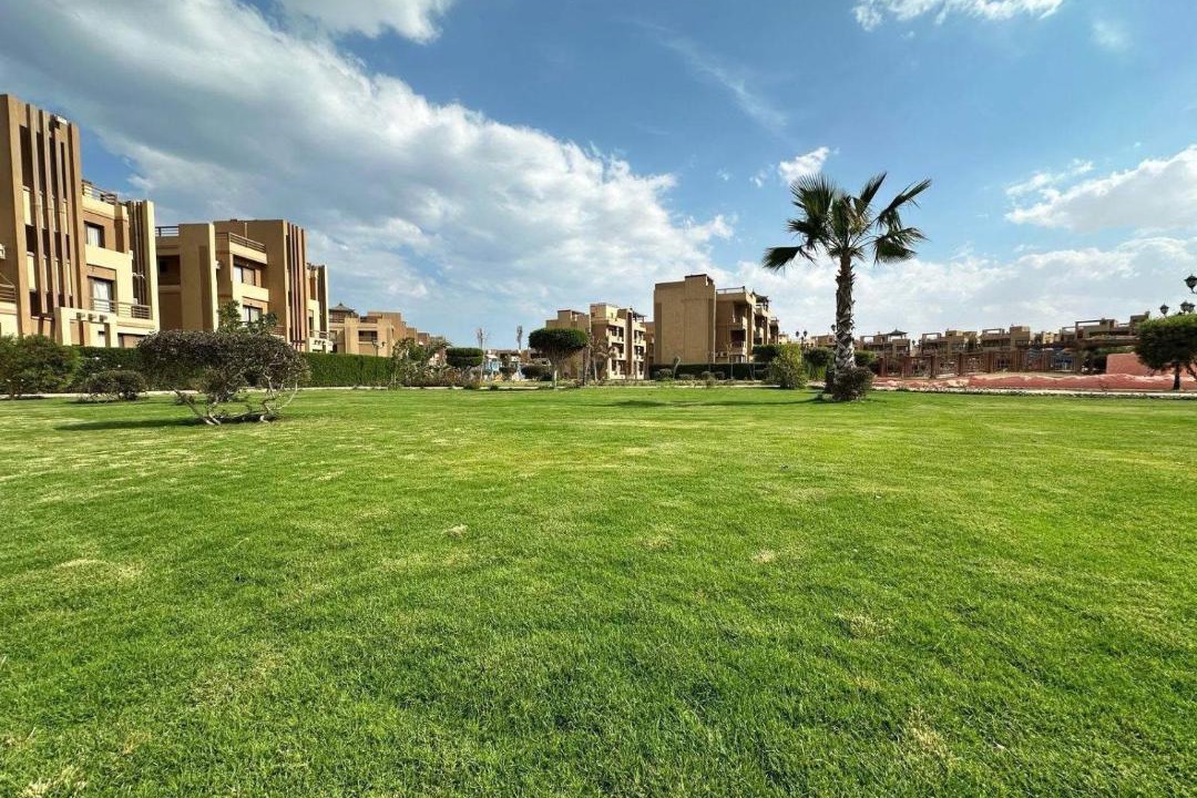 Photo of Others in Zafarana