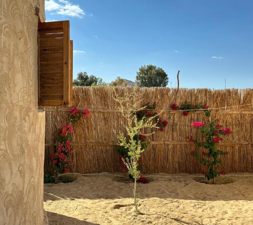 Photo of Others in Siwa