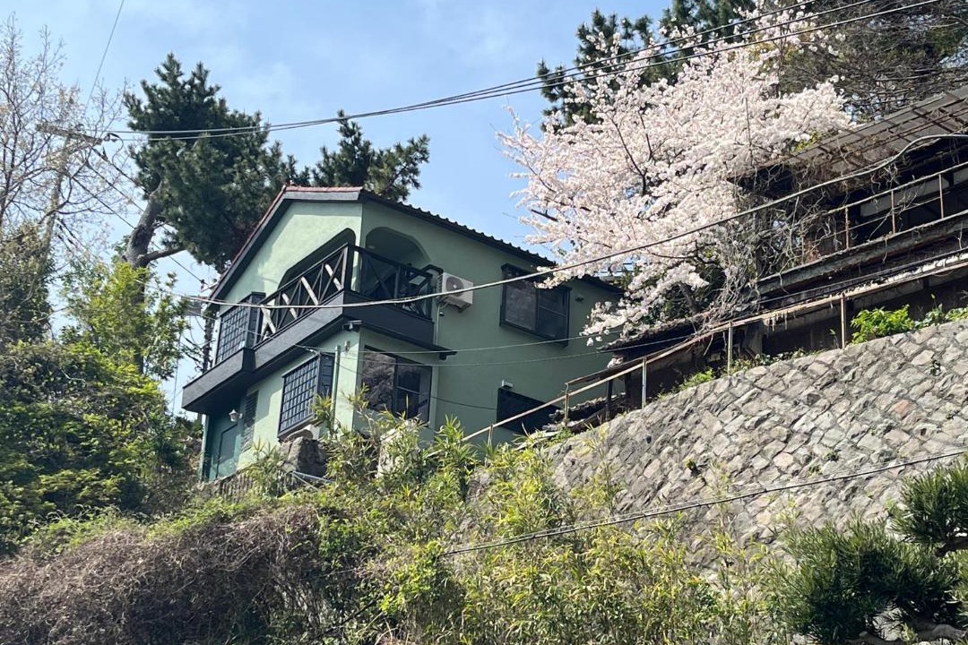 Photo of Others in Atami