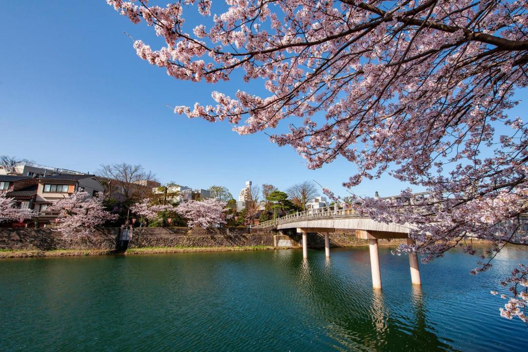 Photo of Others in Kanazawa