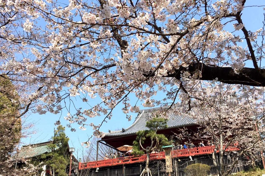 Photo of Others in Higashinippori