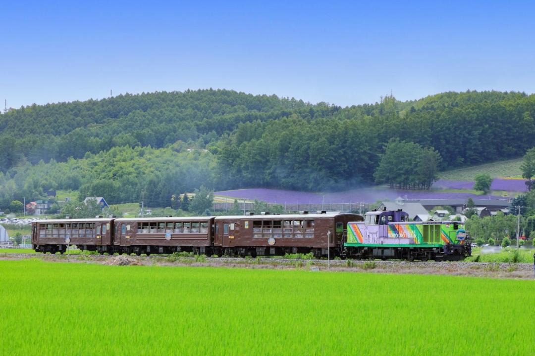 Photo of Others in Asahikawa