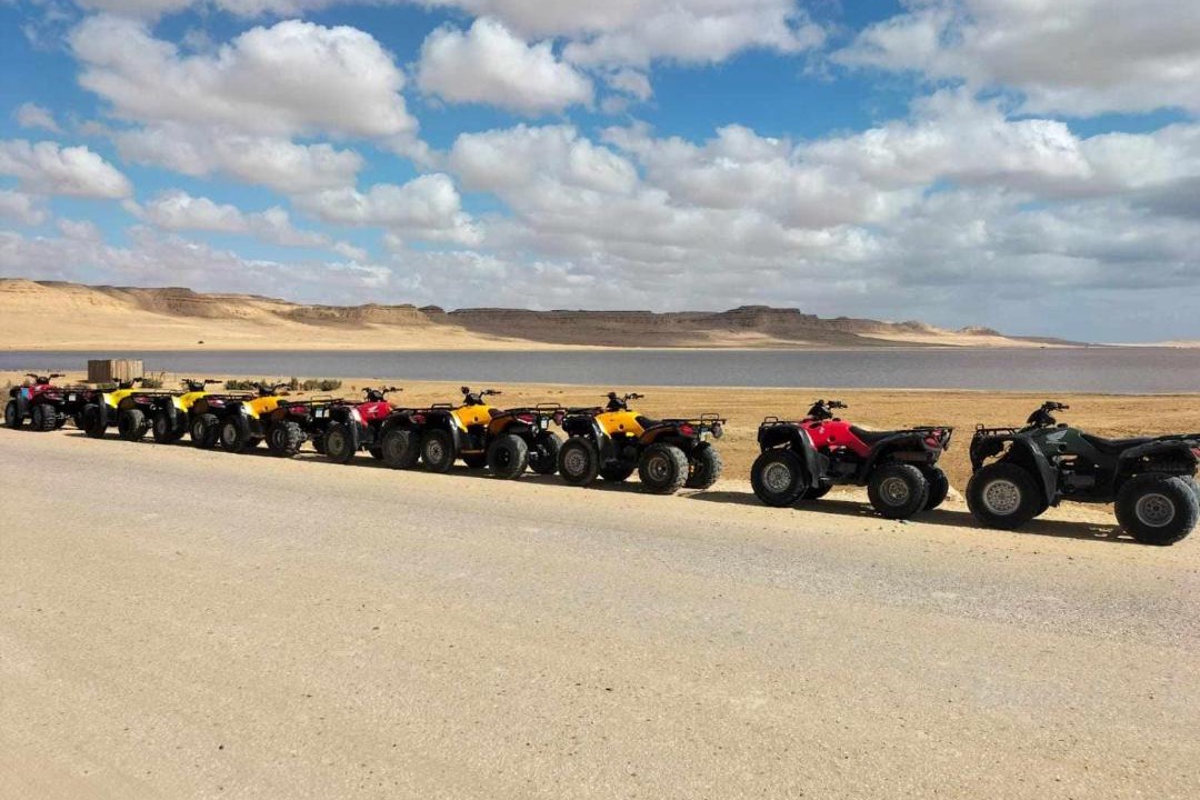 Photo of Others in Al Fayoum