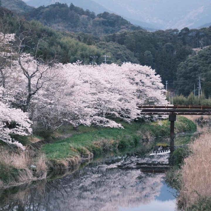 Photo of Others in Ashizuri Onsen