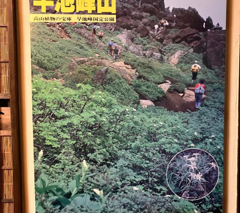 Photo of Others in Hanamaki