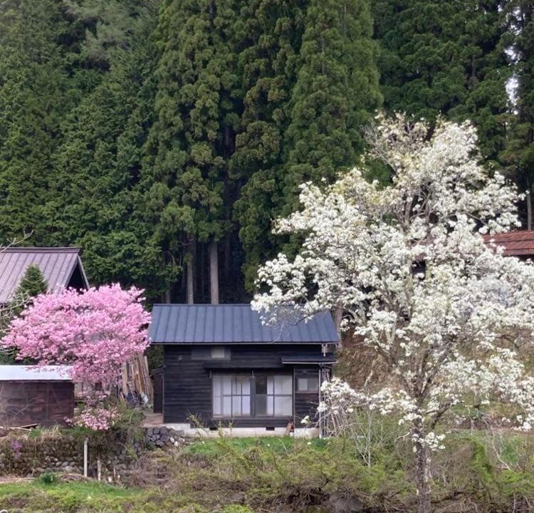 Photo of Others in Hakusan National Park