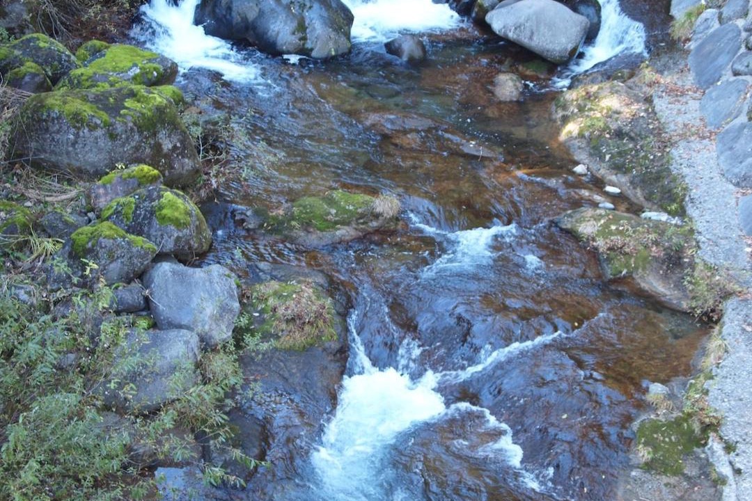 Photo of Others in Hakusan National Park