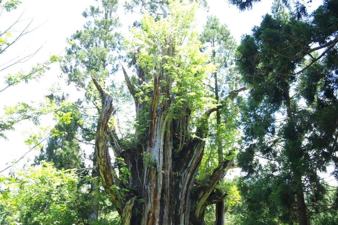 Photo of Outdoor in Hakusan National Park