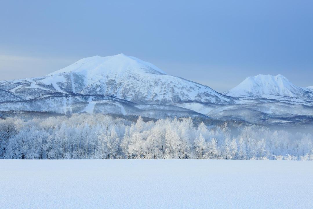 Photo of Others in Niseko