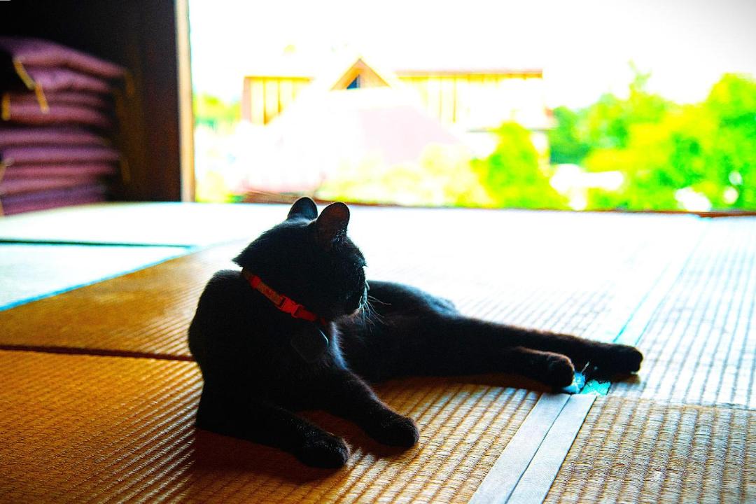 Photo of Others in Fujikawa