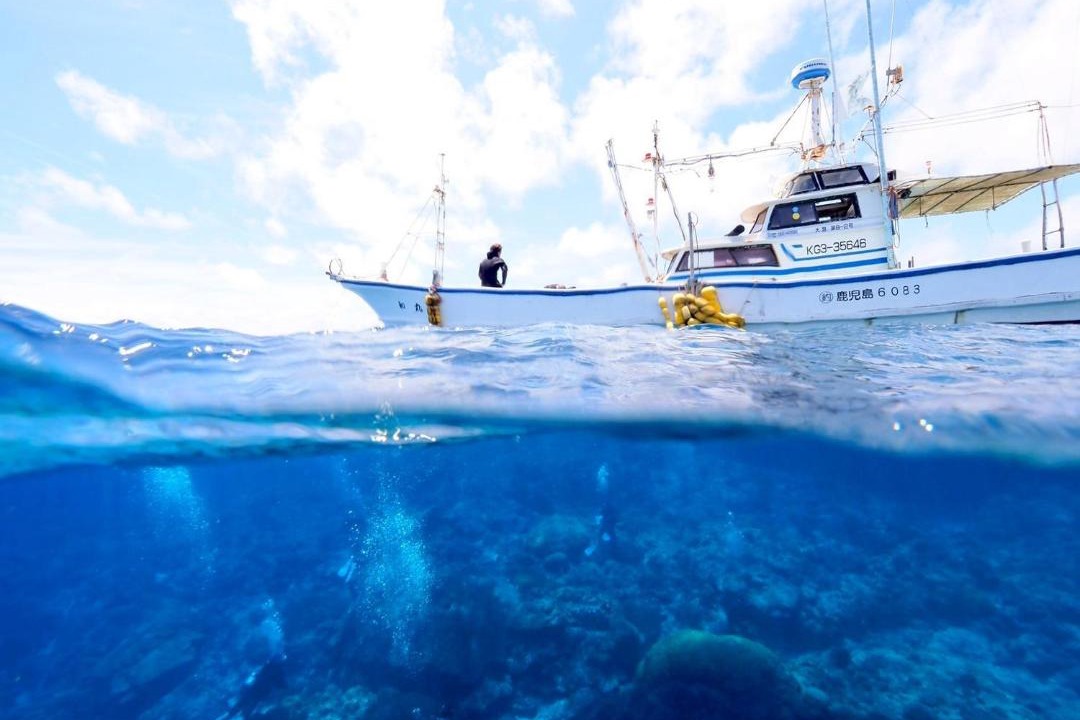 Photo of Others in Kikai Island