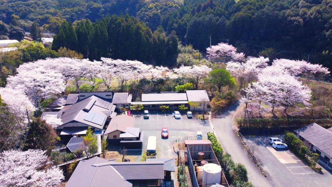 Photo of Others in Yamaga