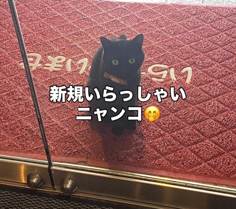 Photo of Others in Asamushi Onsen